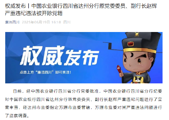 中国农业银行四川省达州分行原副行长赵辉被开除党籍